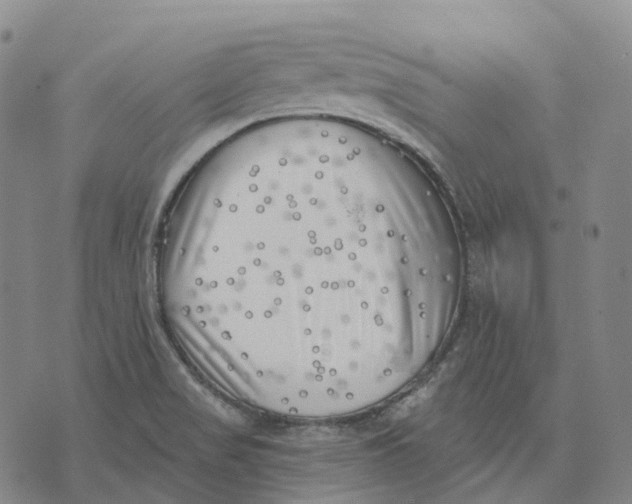 X0000074261517200609151748