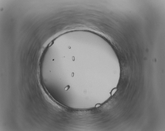 X0000074261518200609151748