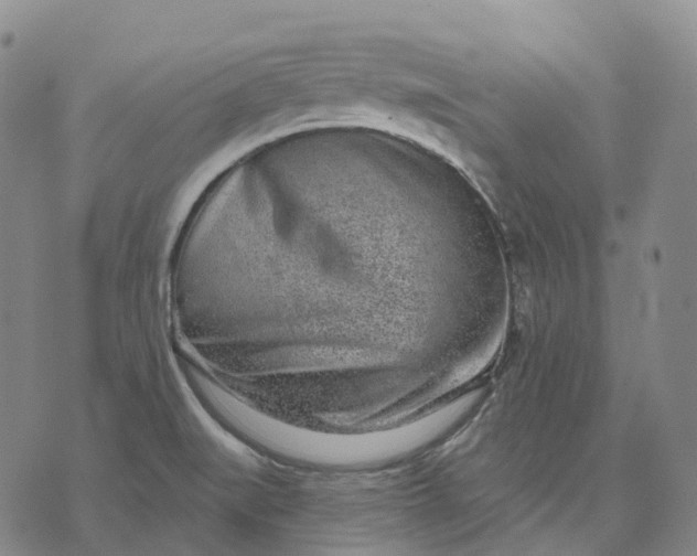 X0000074261519200609151748