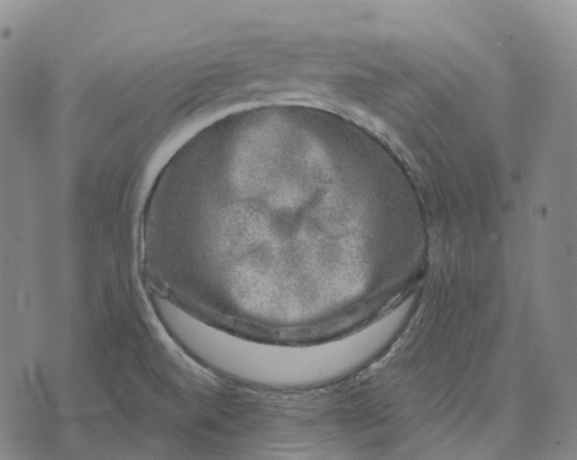 X0000074261520200609151748