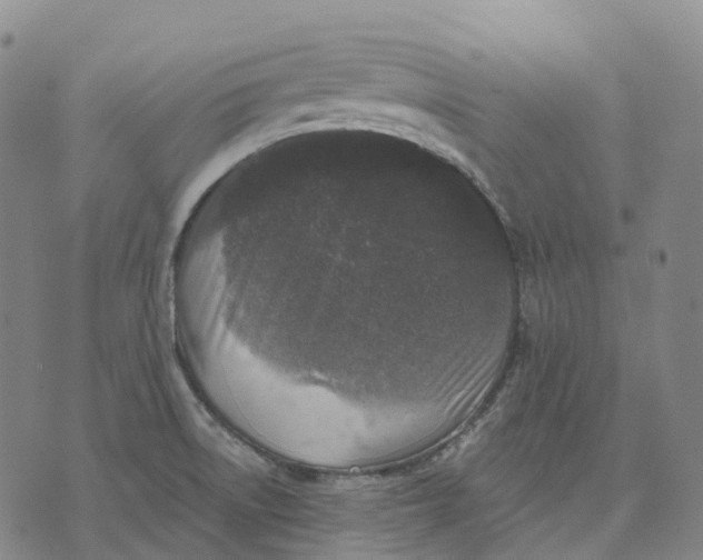 X0000074261522200609151748