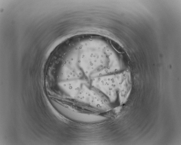 X0000074261523200609151748