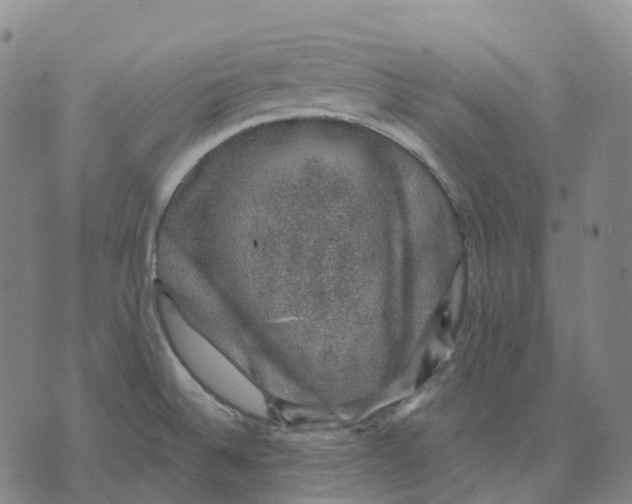 X0000074261524200609151748