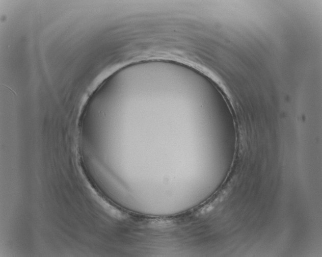 X0000074261525200609151748