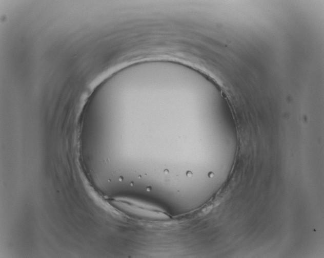 X0000074261526200609151748