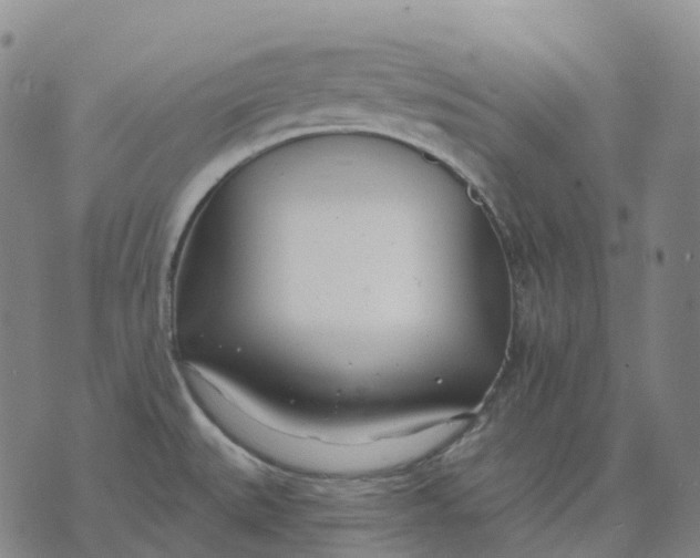 X0000074261527200609151748