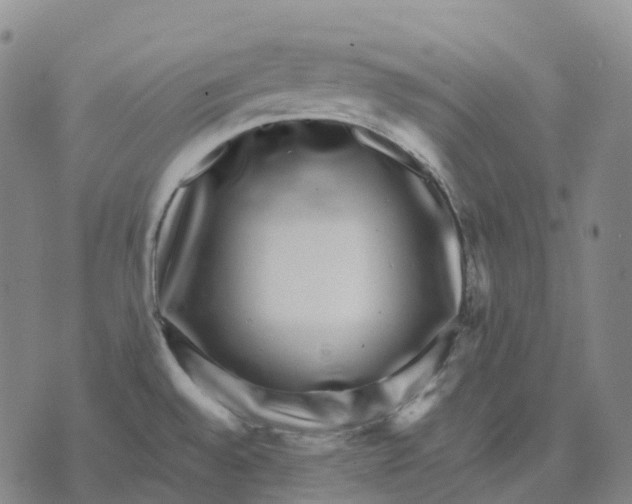 X0000074261528200609151749