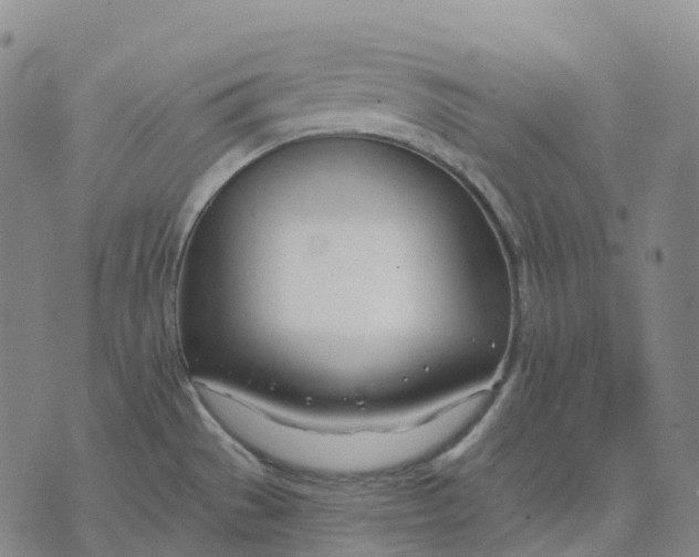 X0000074261529200609151749