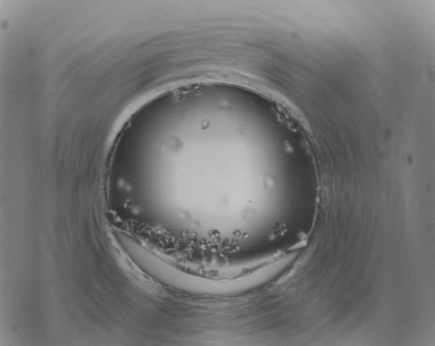 X0000074261530200609151749