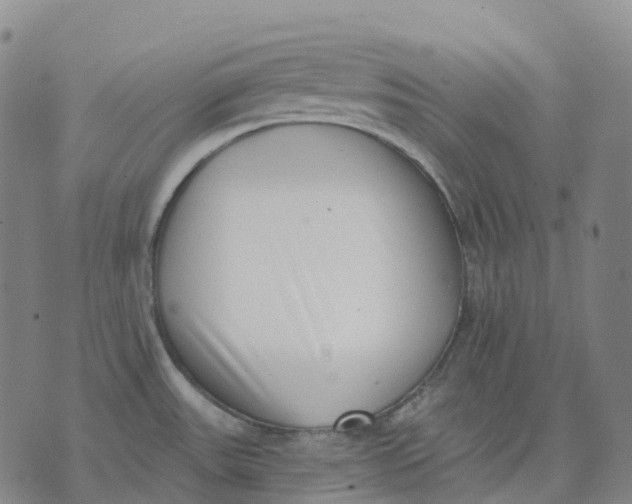 X0000074261531200609151749