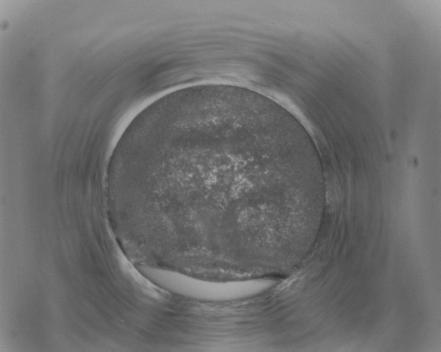 X0000074261532200609151749