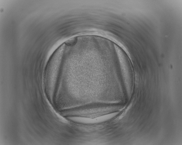 X0000074261533200609151749