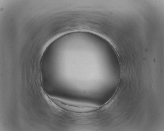 X0000074261534200609151749