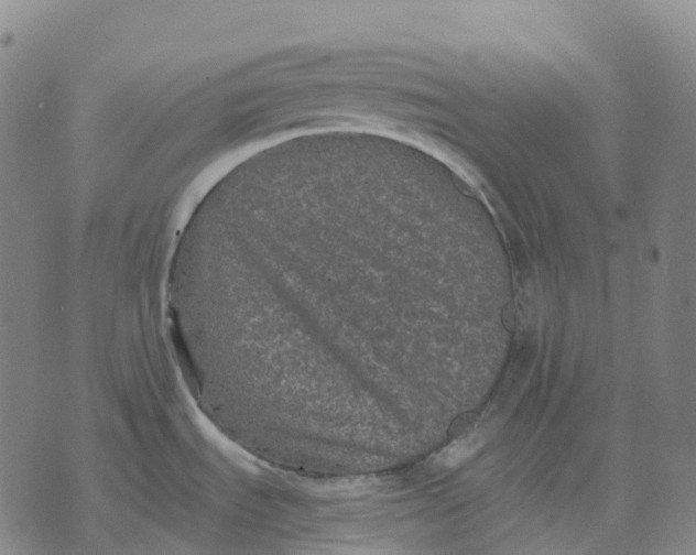 X0000074261535200609151749