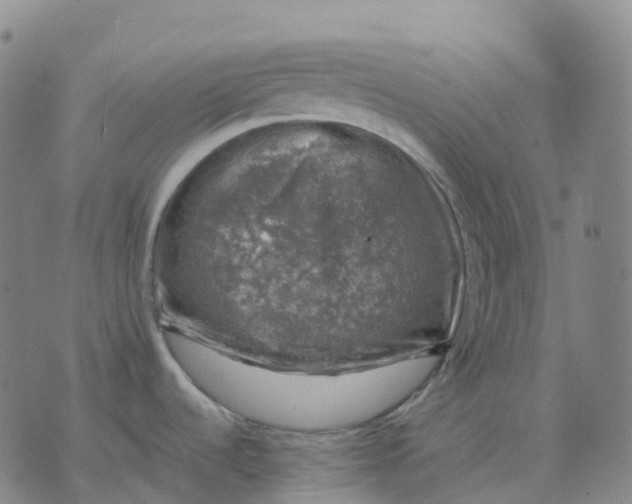 X0000074261536200609151749