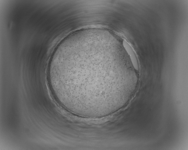 X0000074260001200609222203