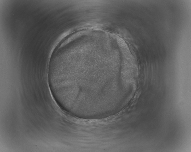 X0000074260003200609222203