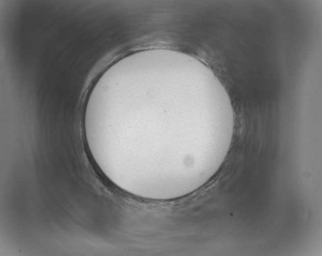 X0000074260004200609222203