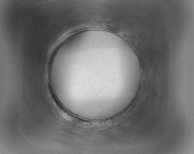 X0000074260005200609222203