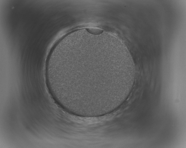 X0000074260006200609222203