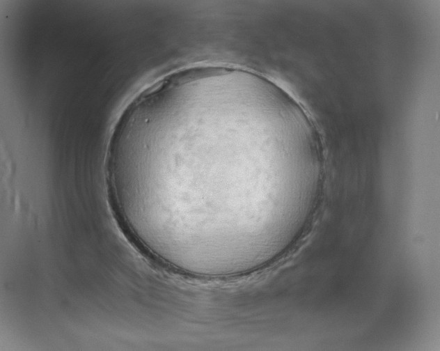 X0000074260007200609222203