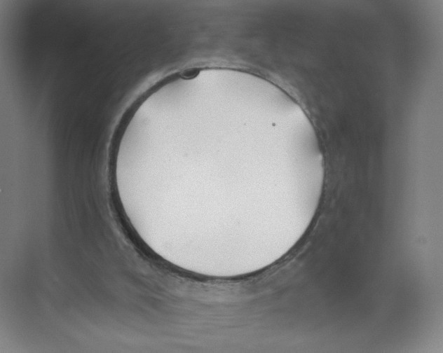 X0000074260008200609222203