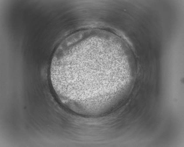 X0000074260010200609222203