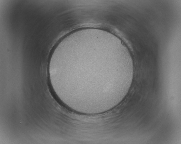 X0000074260011200609222203