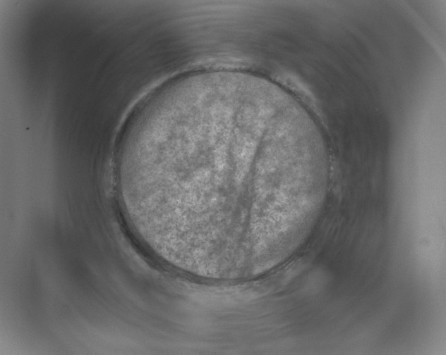 X0000074260012200609222203