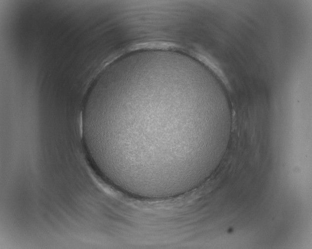 X0000074260013200609222203