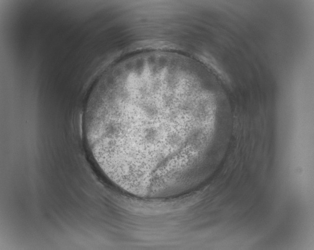 X0000074260014200609222203