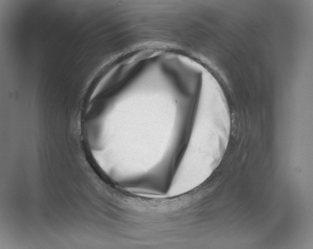 X0000074260015200609222203