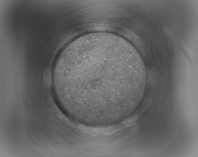 X0000074260016200609222203