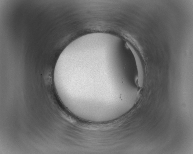 X0000074260017200609222203