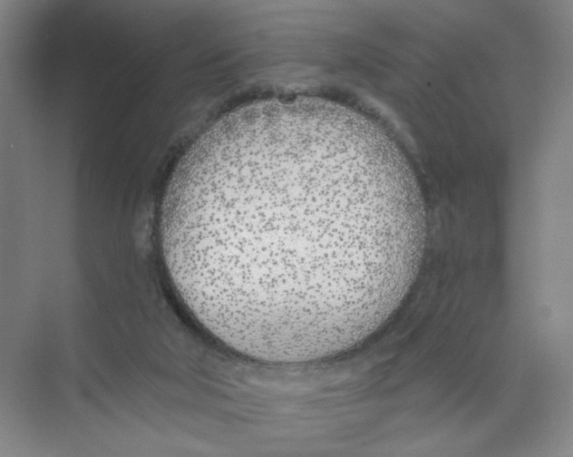 X0000074260018200609222202