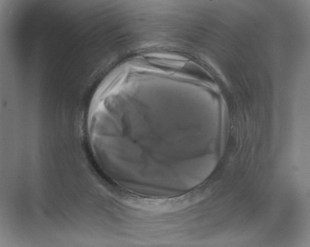 X0000074260023200609222202