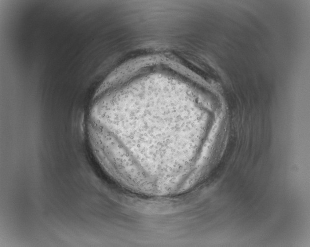 X0000074260024200609222202