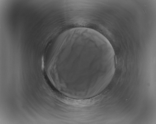 X0000074260027200609222202