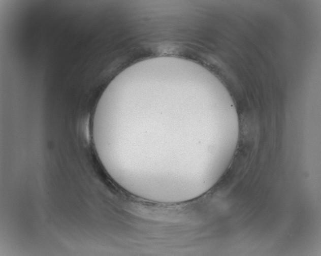 X0000074260028200609222202