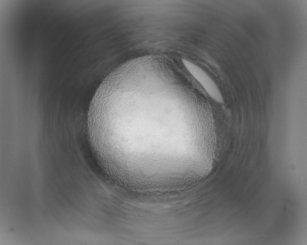 X0000074260029200609222202