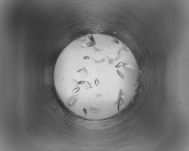 X0000074260030200609222202