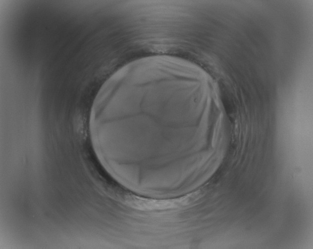 X0000074260031200609222202