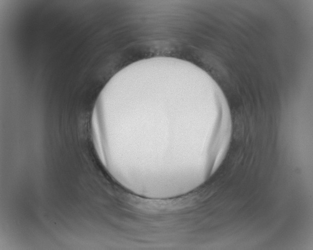 X0000074260034200609222202