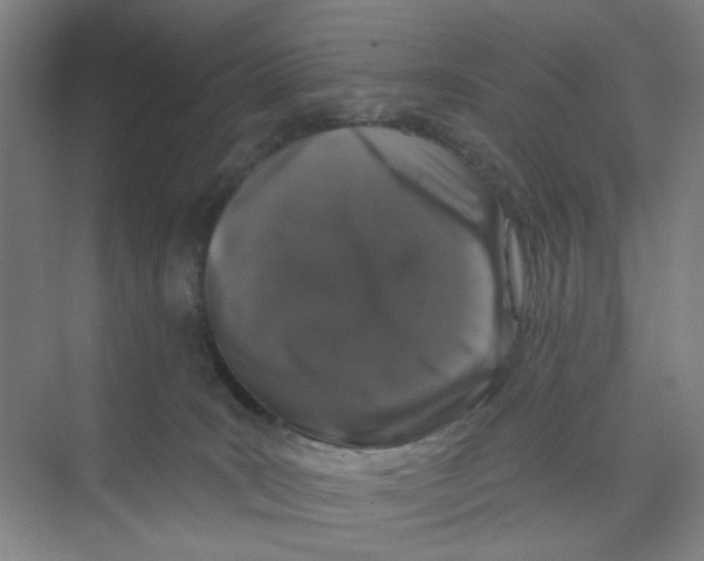 X0000074260035200609222202