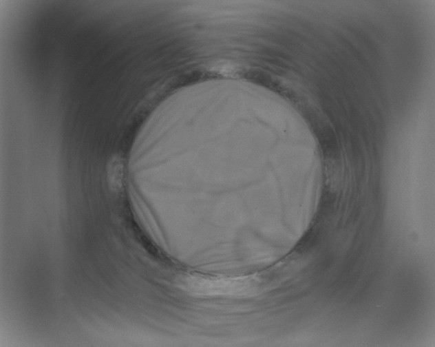 X0000074260036200609222202