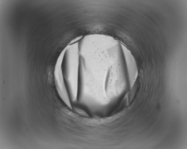 X0000074260037200609222202