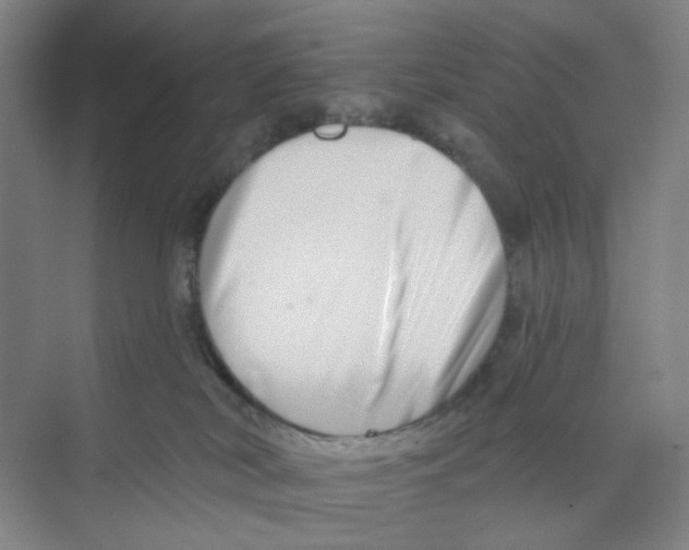 X0000074260038200609222202