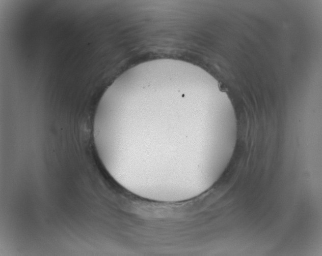 X0000074260040200609222202