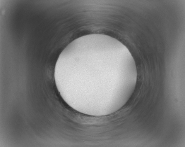 X0000074260044200609222202