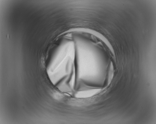 X0000074260045200609222202